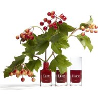 Kure Bazaar Nagellack Masai 10ml