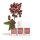 Kure Bazaar Nagellack Zoe 10ml